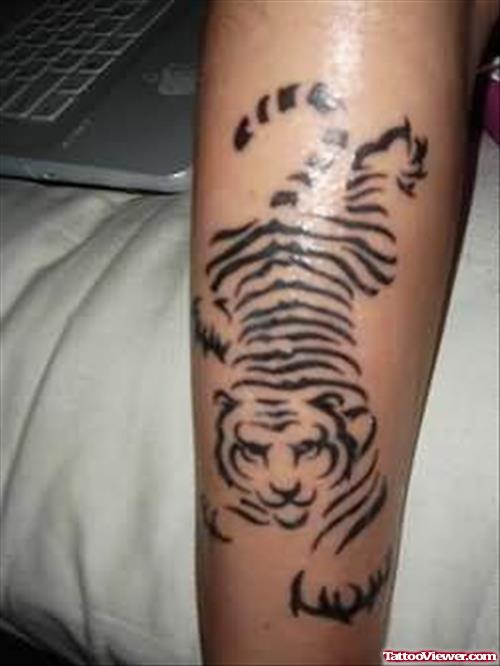 Tiger Tattoo Body Art