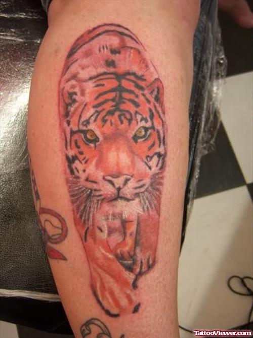 Stylish Tiger Tattoo