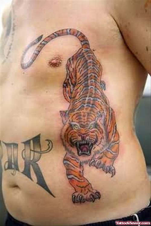 Roaring Tiger Tattoo On Side Rib
