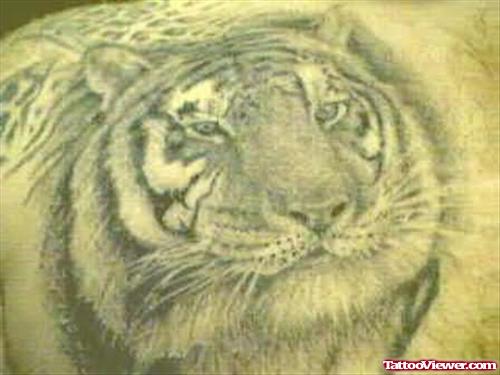 King Of Jungle - Tiger Tattoo