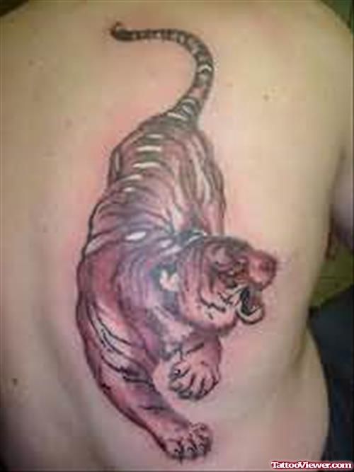 Crawling Tiger Tattoo On Back