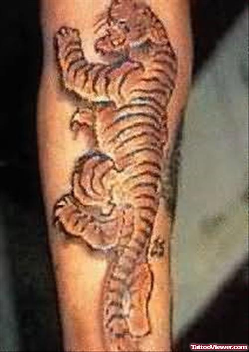Climbing Tiger Tattoo On Arm
