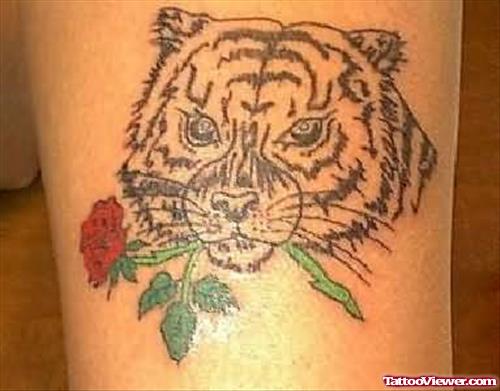 Tiger Tattoo With Red Rose