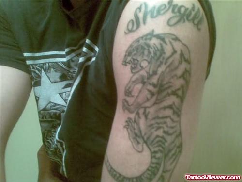 Tiger Tattoo - Punjabi Pride