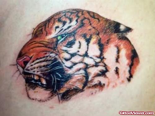 Tiger Head Colour Tattoo