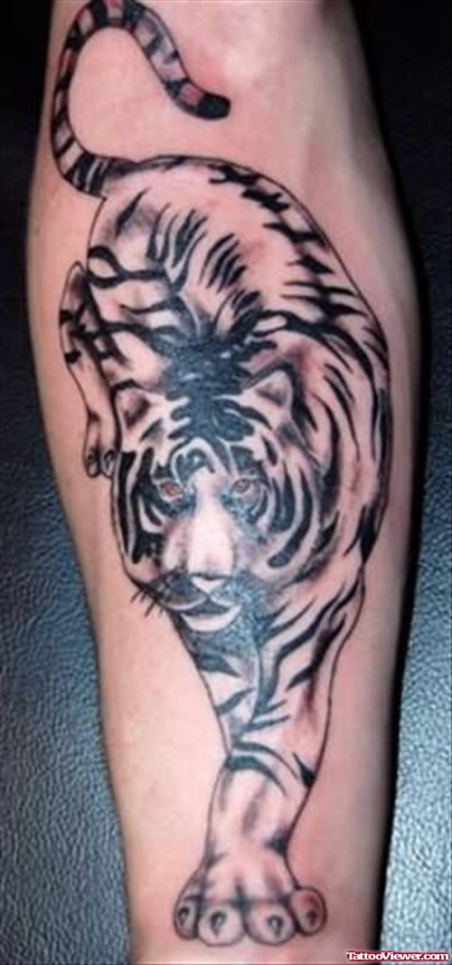 Tiger Beautiful Tattoo Image