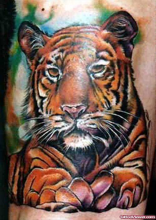 Beautiful Sitting Tiger Tattoo