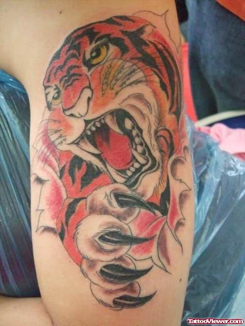 3D Angry Tiger Tattoo