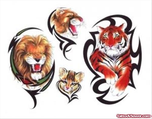 Tigers And Lion Tattoos Designs