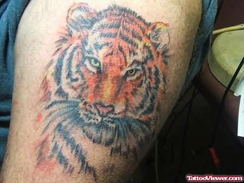 Tiger Head Tattoo Design On Bicep