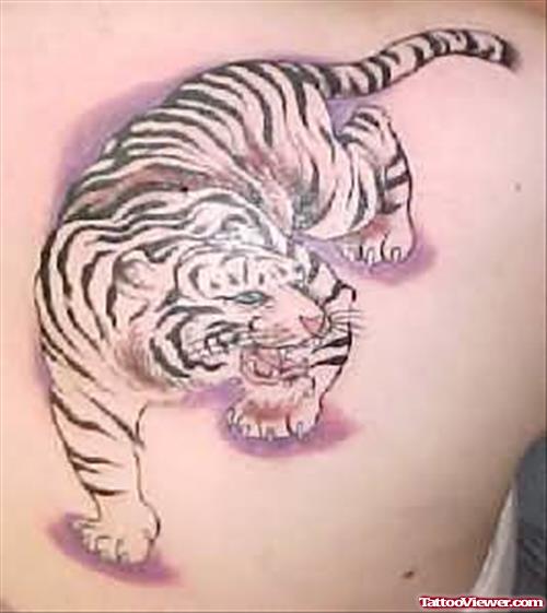 Glorious Tiger Tattoo