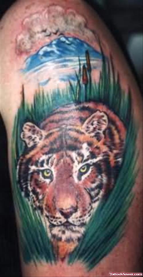Tiger In Grass Tattoo