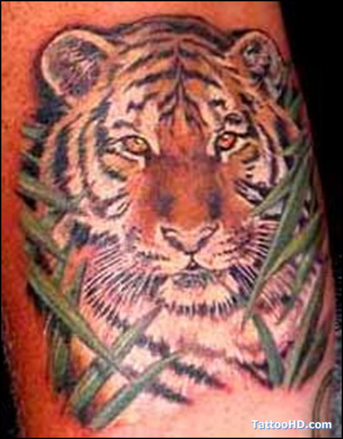 Awful Color Ink Tiger Head Tattoo