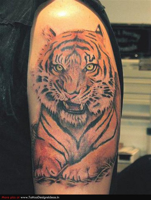 Color Tiger Tattoo On Left Half Sleeve