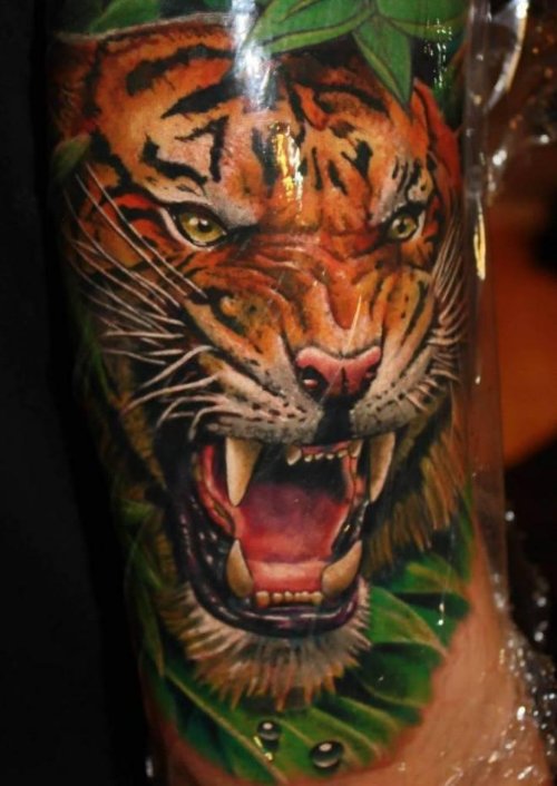 Color Ink Angry Tiger Tattoo