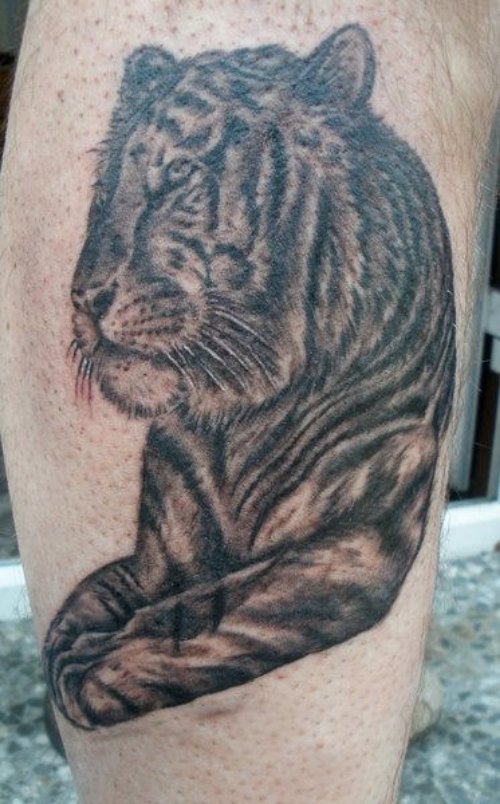 Grey Ink Tiger Tattoo On Arm