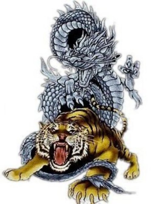 Beautiful Dragon And Tiger Tattoo Design