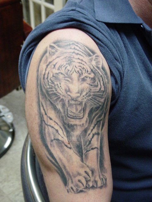 Grey Ink Angry Tiger Tattoo On Right Half Sleeve