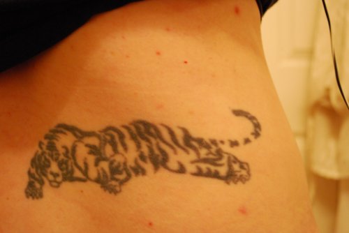 Cool Grey Ink Tiger Tattoo On Back