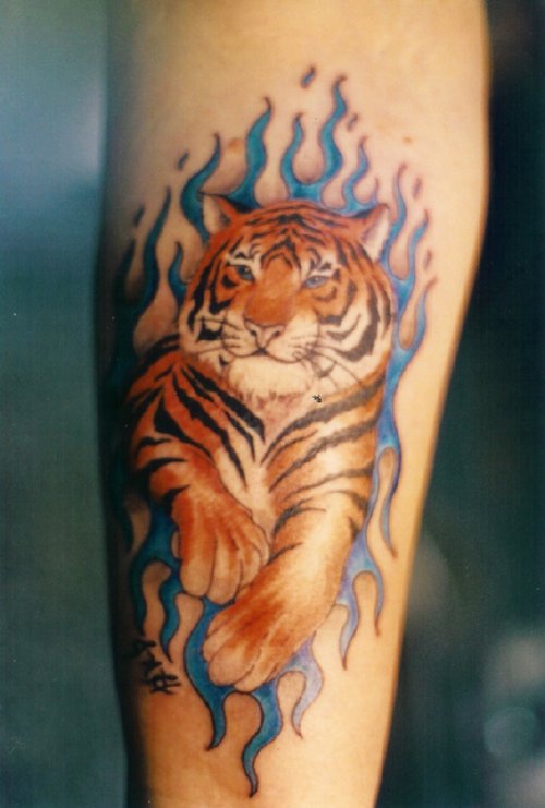Awesome Flaming Tiger Tattoo On Sleeve