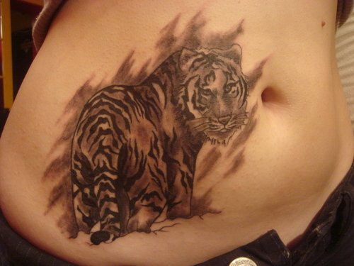 Grey Ink Tiger Tattoo On Stomach