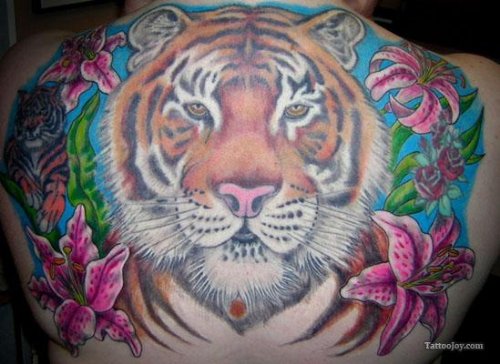 Colored Pink Flowers And Tiger Head Tattoo On Back