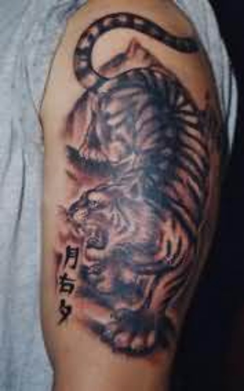 Arm Tiger Tattoo Design
