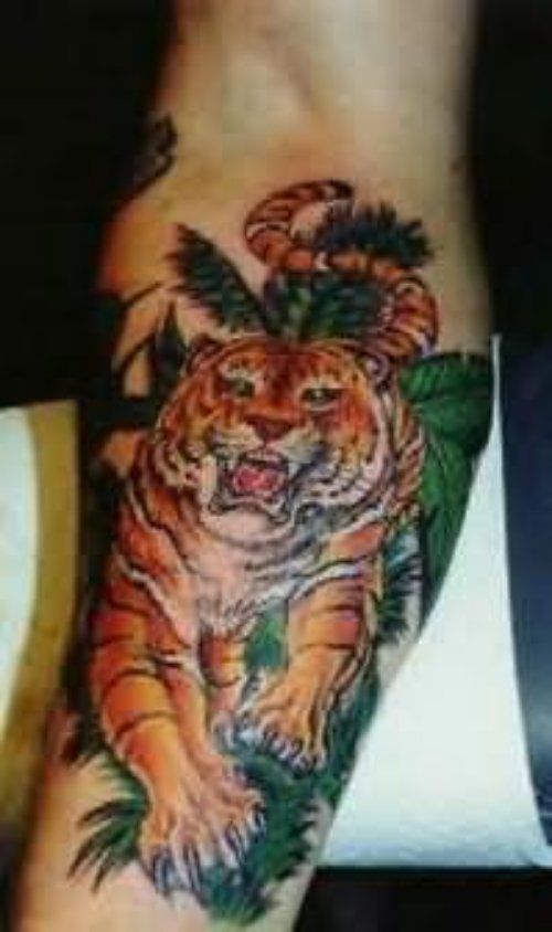 Angry Tiger Tattoo On Arm
