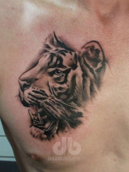 Best Grey Ink Tiger Head Tattoo On Man Chest