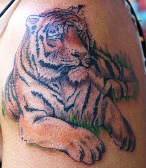 Color Tiger Tattoo On Left Shoulder