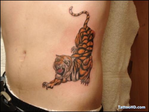 Attractive Tiger Tattoo On Man Rib