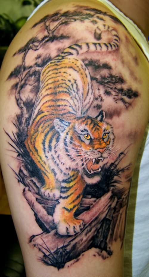 Large Tiger Tattoo On Shoulder And Bicep