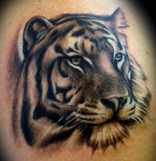 Attractive Grey Ink Tiger Head Tattoo