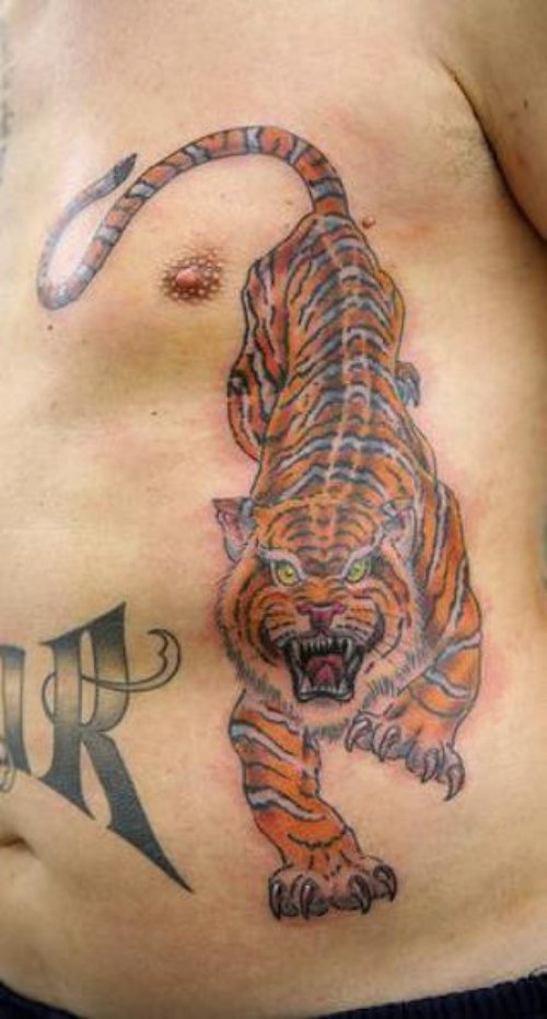 Tiger Tattoo On Man Rib