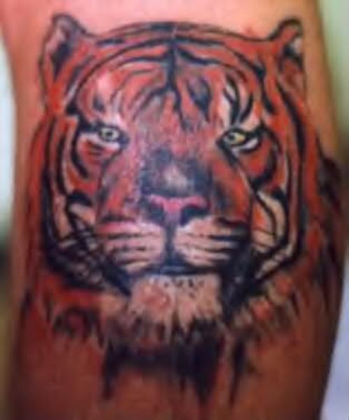 Nice Red Tiger Tattoo