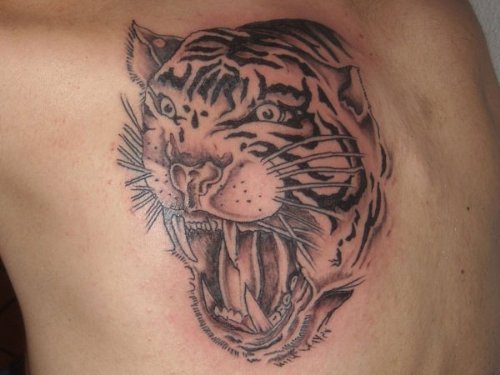 Grey Ink Tiger Tattoo On Man Side Rib