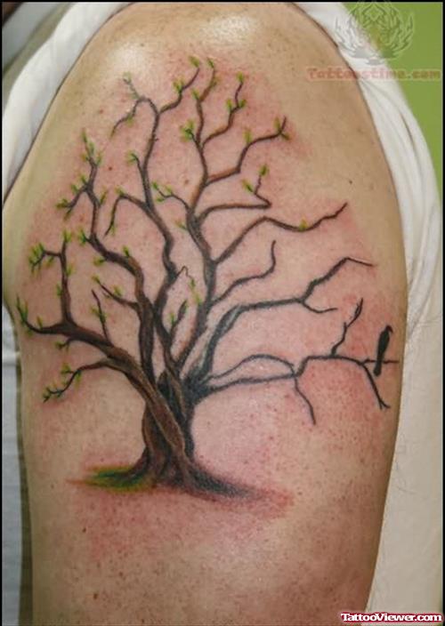 Shoulder Tree Tattoo