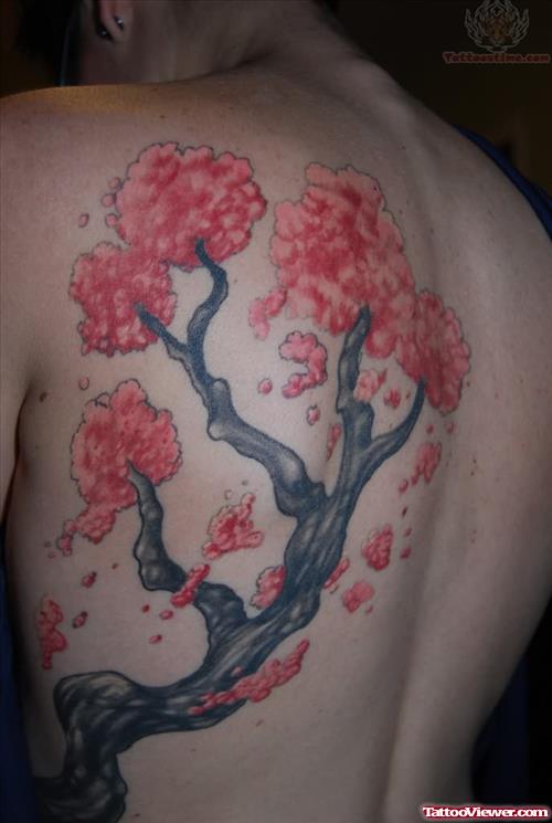 Cherry Blossom Tree Tattoo On Back Shoulder
