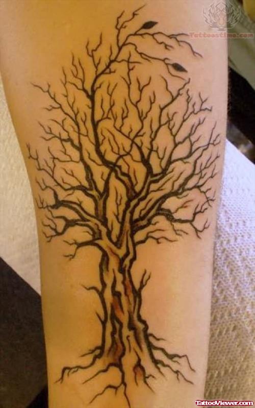 Tree Tattoo On Biceps