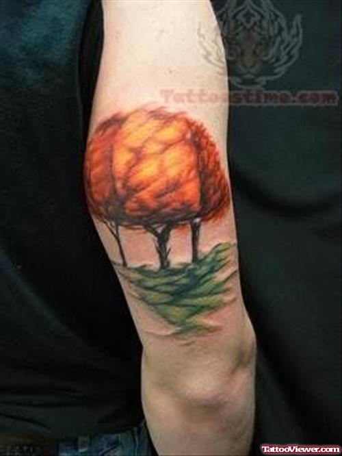 Terrific Tree Tattoo On Elbow