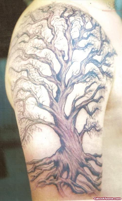 Big Tree Tattoo On Sleeve