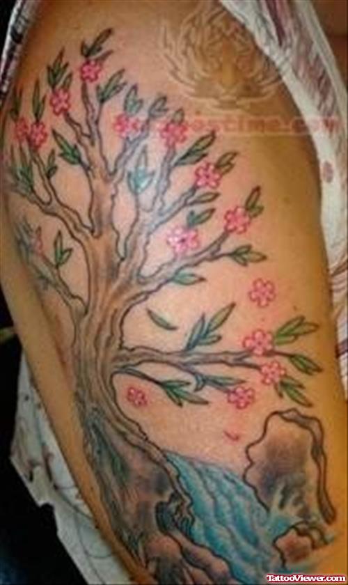 Beautiful Tree Tattoo On Shoulder