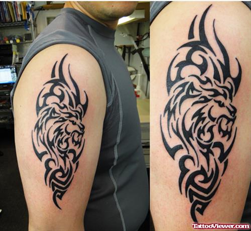 Lion Head and Tribal Tattoo On Right Biceps