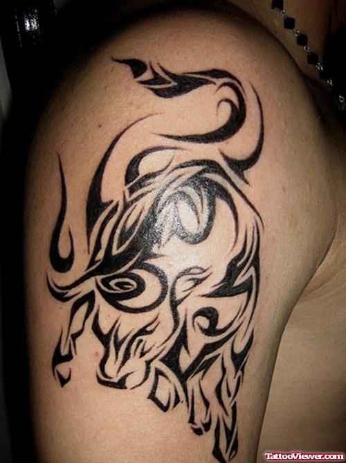 Black Ink Tribal Bull Tattoo  On Right Shoulder