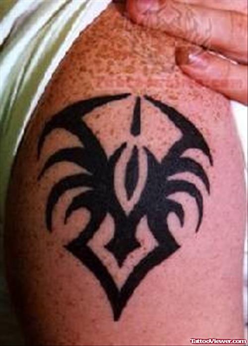 Wonderful Scorpio Tribal Tattoo
