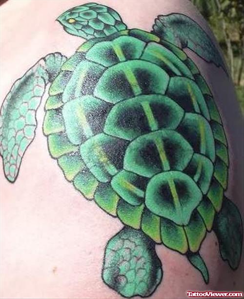 Turtle Tattoos Designs Pictures And Ideas
