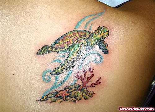 Turtle Tattoo Image