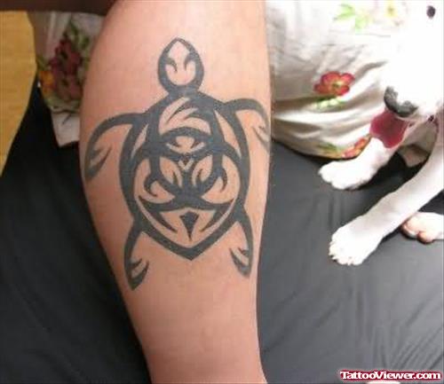 Japanese Turtle Tattoo Pictures