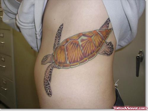 Big Turtle Tattoo On Ribs