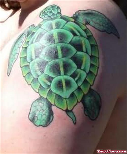 Green Turtle Tattoo On Biceps